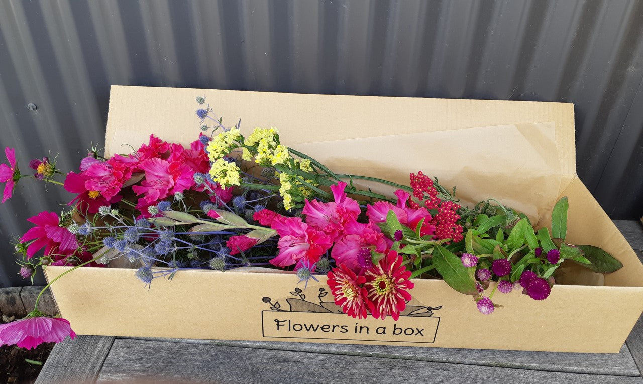 flower subscription Christchurch 